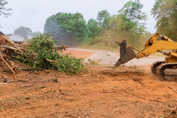 Ground Clearing in Richmond