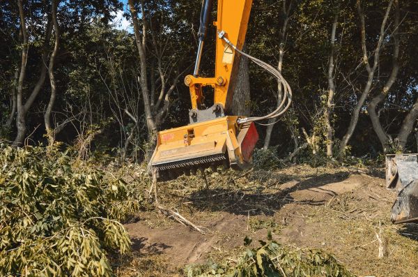 Brush Removal Service in Richmond