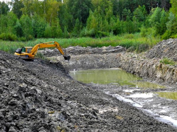 Cost of Lake Lot Clearing in Richmond