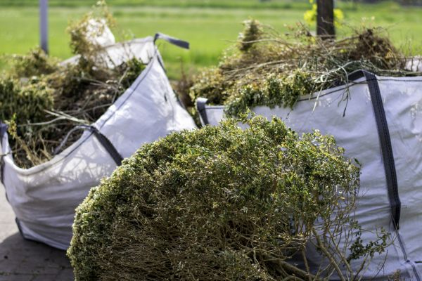 Cost of Bushes Clearing in Richmond