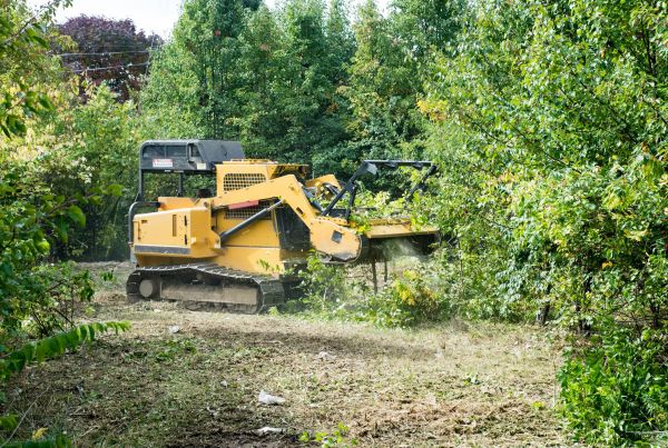 Cost of Pathway Clearing in Richmond