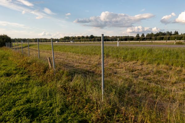 Cost of Property Line Clearing in Richmond