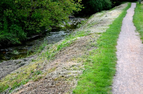 Cost of Trail Cutting in Richmond