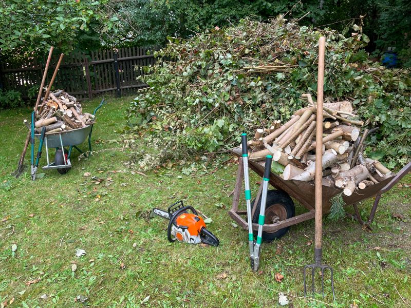 Vegetation and Debris Removal
