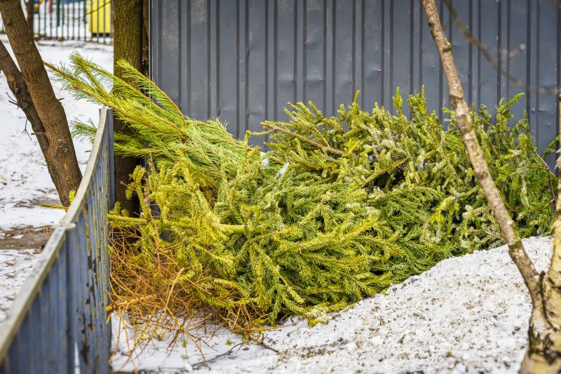 Winter Land Clearing