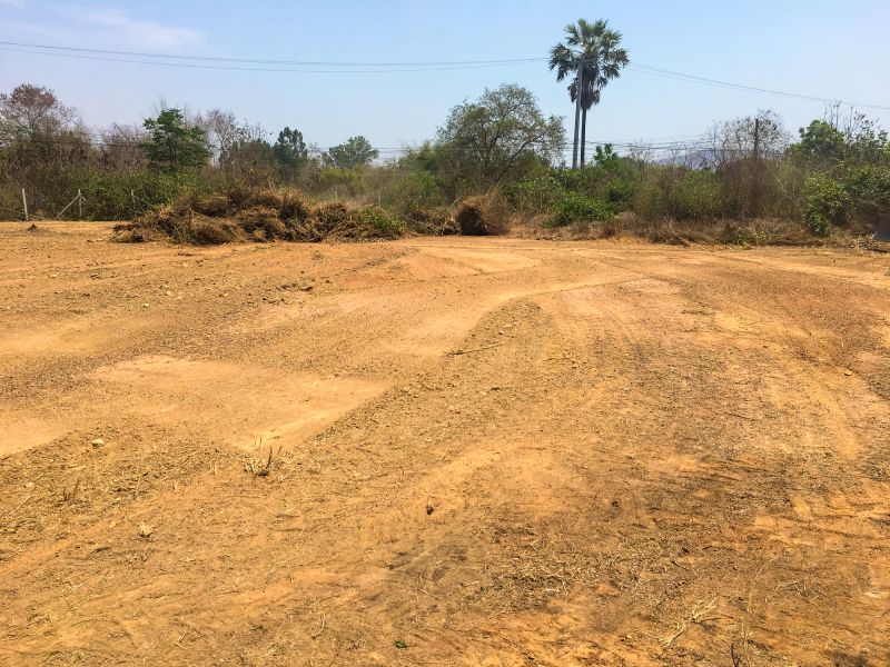 Clearing Site Preparation